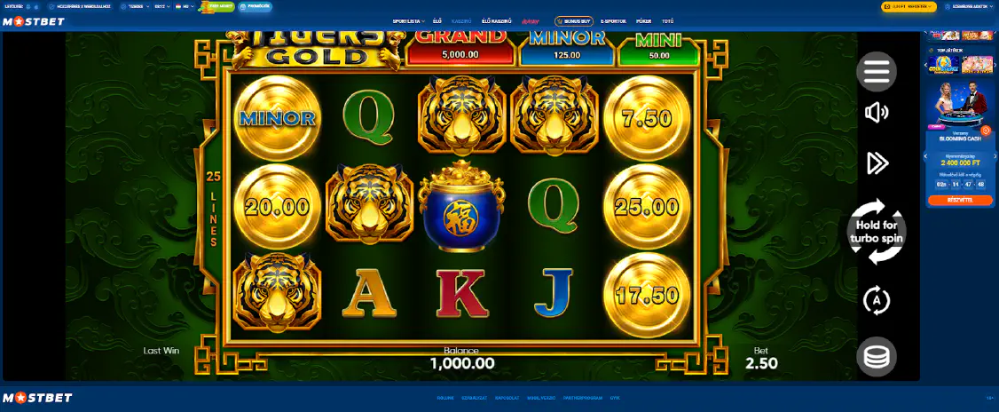 Book of Dead játék